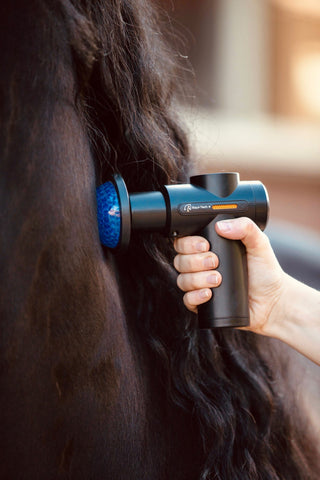 Pistolet de massage chaud & froid noir